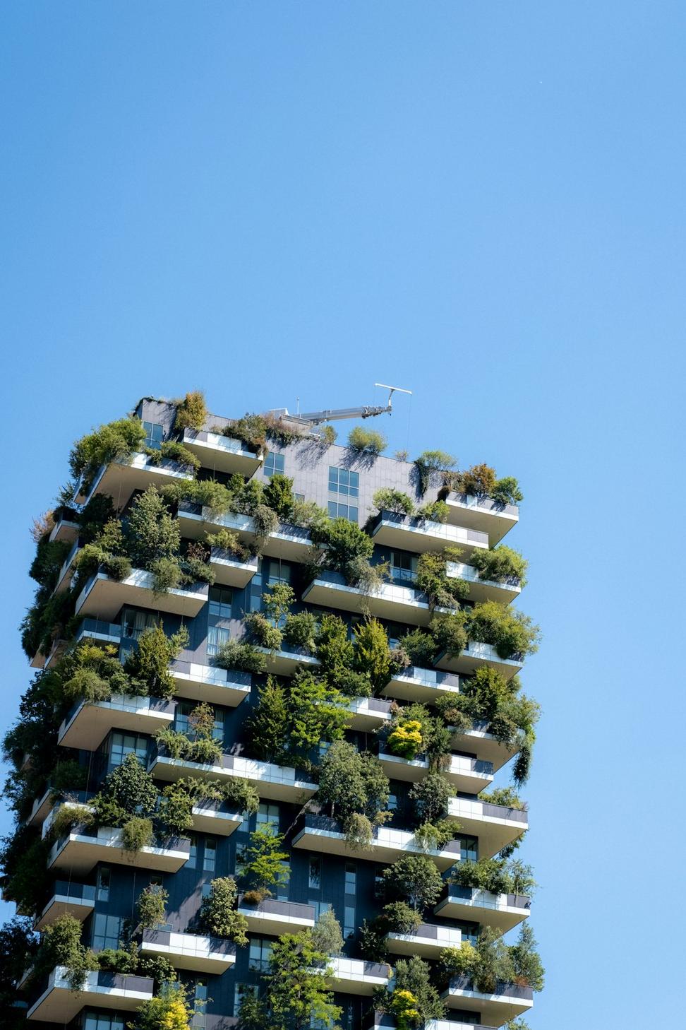 Sustainable Building Consulting