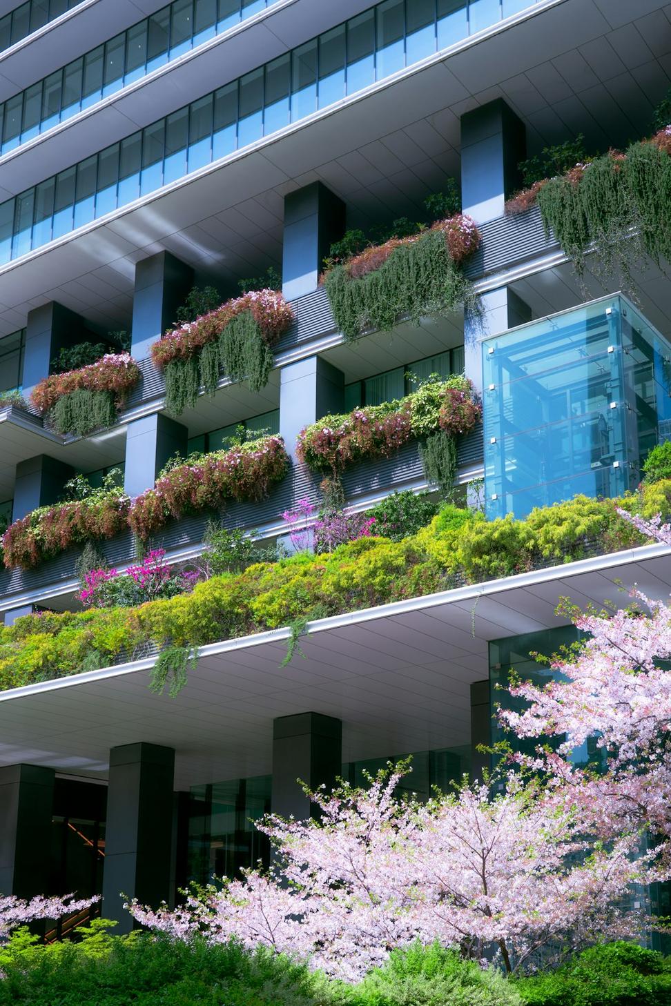 Residential project